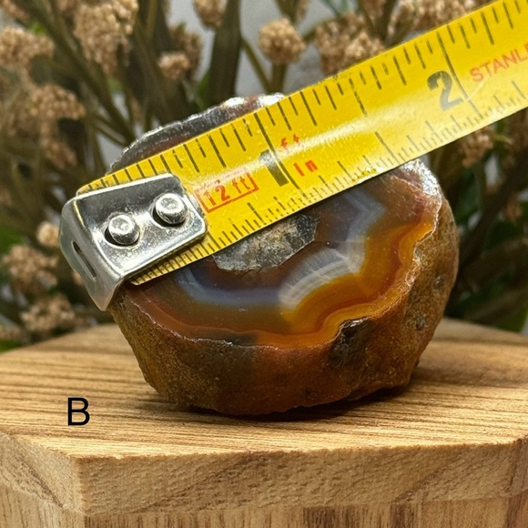 Coyamito Agate from Chihuahua Mexico - Picture 6 of 8